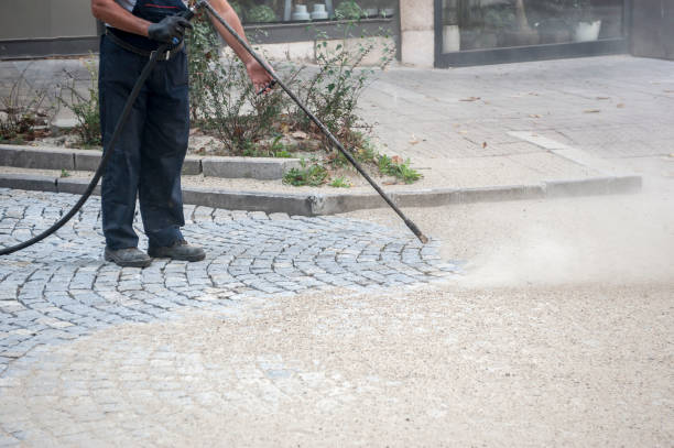 Best Dumpster Area Cleaning  in Bevil Oaks, TX